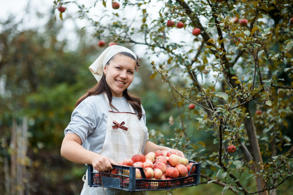 L&rsquo;art de cultiver des saveurs : choisissez vos fruitiers pour un jardin prospère