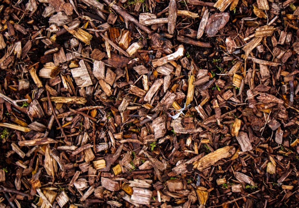 Comprendre le broyeur de végétaux : un outil essentiel pour le jardinage